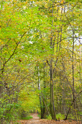 Similar image 1544677