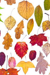 Similar image 1544679