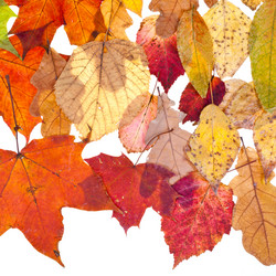 Similar image 1544681