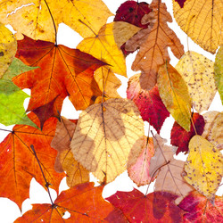 Similar image 1544682