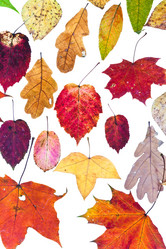 Similar image 1544690