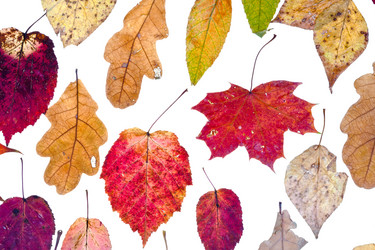 Similar image 1544692