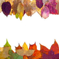 Similar image 1544696