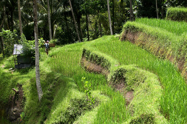 Similar image 1544749