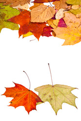 Similar image 1544752