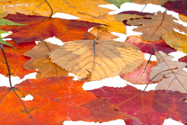 Similar image 1544766