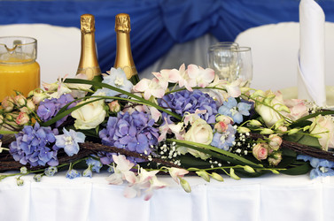 Similar image 1544778