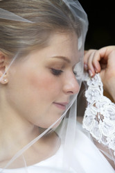 Similar image 1544842