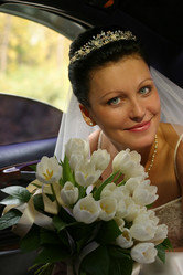 Similar image 1544883