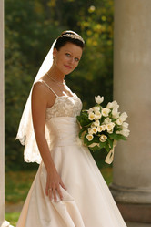 Similar image 1544888