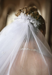 Similar image 1544957