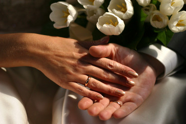 Similar image 1545026