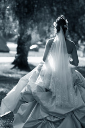 Similar image 1545084