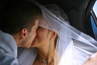 Similar image 1545185