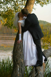 Similar image 1545202