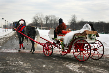 Similar image 1545219