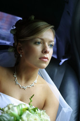 Similar image 1545221