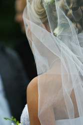 Similar image 1545264