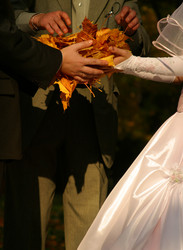 Similar image 1545387