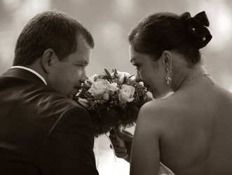 Similar image 1545412