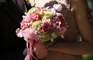 Similar image 1545446