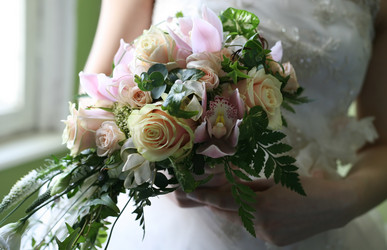 Similar image 1545483