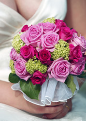 Similar image 1545484