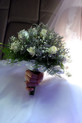 Similar image 1545485