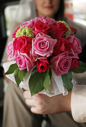 Similar image 1545489