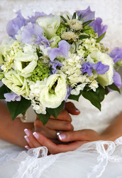 Similar image 1545503