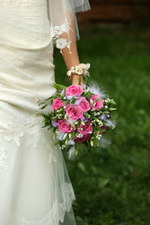 Similar image 1545516