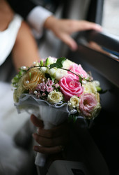 Similar image 1545518