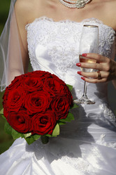 Similar image 1545519