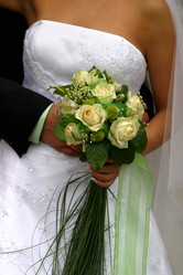 Similar image 1545520