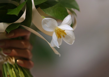 Similar image 1545530