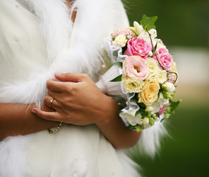 Similar image 1545531