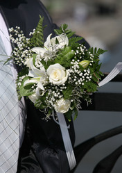 Similar image 1545537