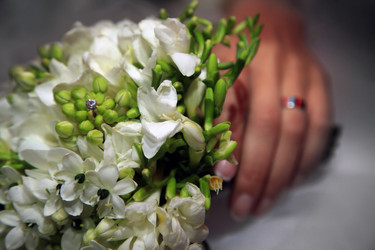 Similar image 1545539