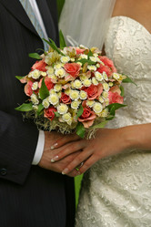 Similar image 1545545