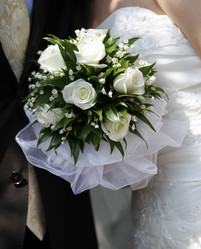 Similar image 1545548