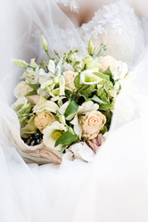 Similar image 1545549