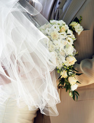 Similar image 1545556