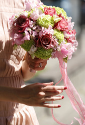 Similar image 1545558