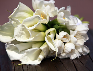 Similar image 1545561