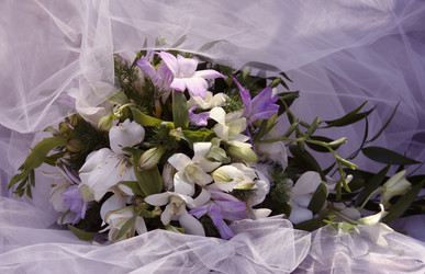 Similar image 1545563