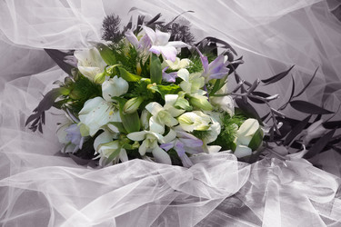 Similar image 1545564