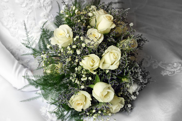 Similar image 1545572