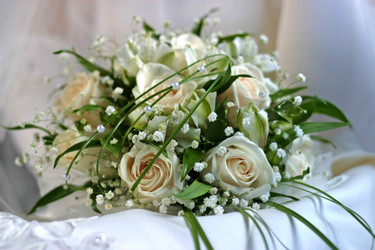 Similar image 1545574