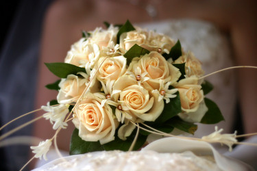 Similar image 1545576