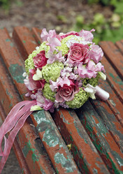 Similar image 1545577